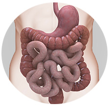 actualidad gastroenterología