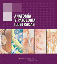 anatomia y patologias ilustradas